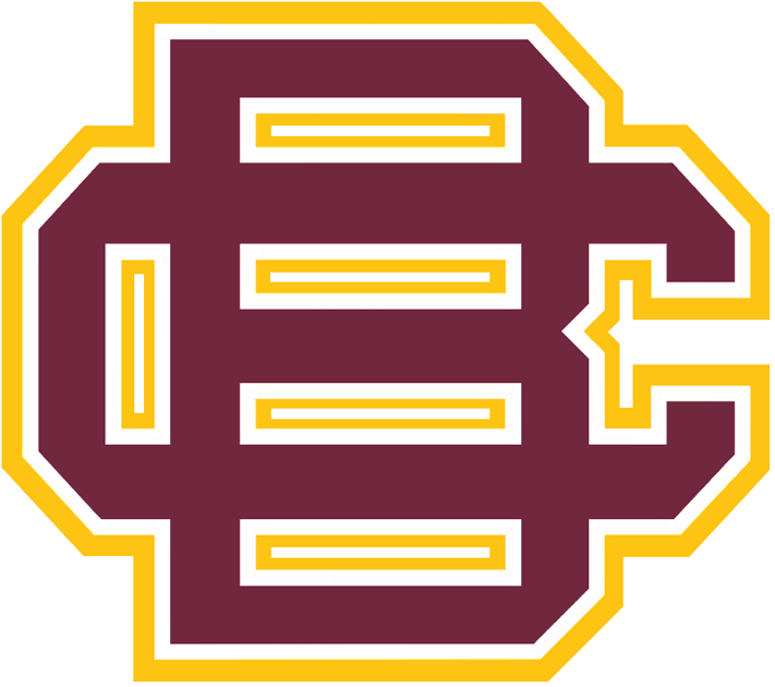 Bethune-Cookman Wildcats 2010-Pres Primary Logo iron on transfers for T-shirts